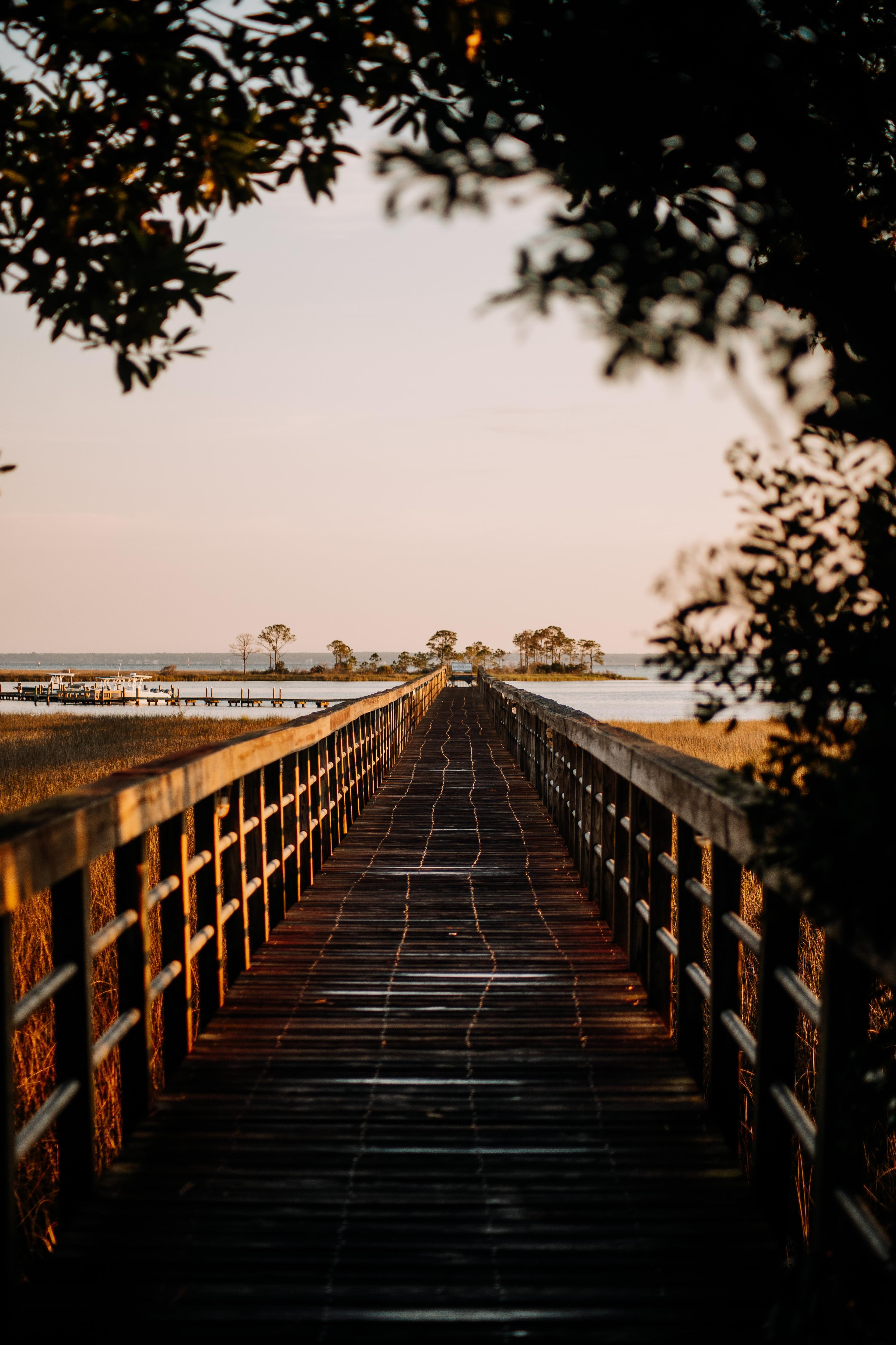 An empty wooden boardwalk bridge leading out to the water and a pier with boats. The viewer is standing amongst trees that curl over the top of the photo. 