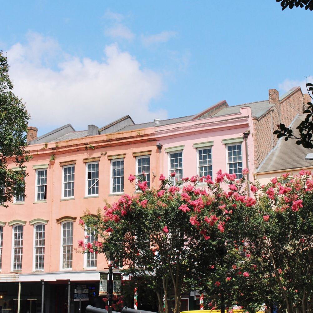 夏日里波旁街上的粉红色建筑