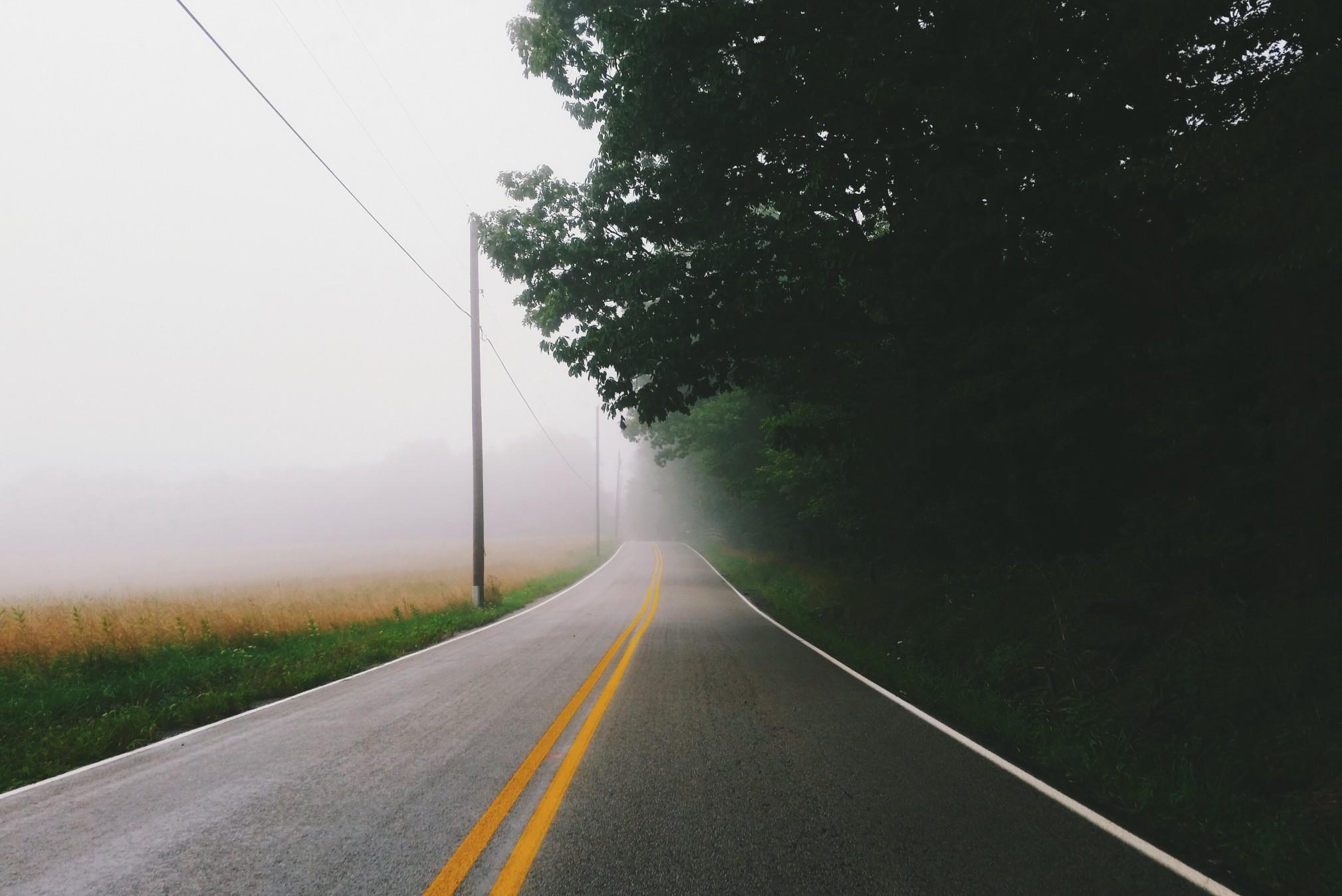 一个空的路上雾