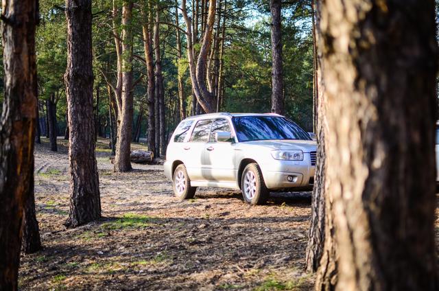 The Subaru Forester has seen some highs and lows over the years.