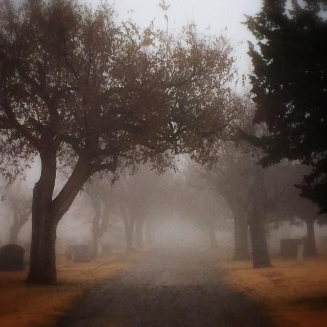 A path leads deeper into a foggy Oklahoma cemetery with black trees.