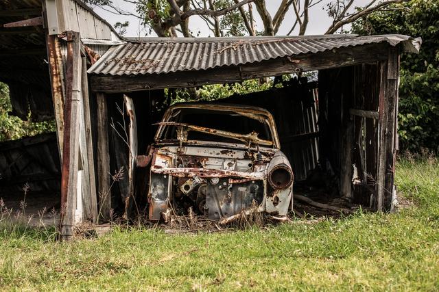 Around 1,000 classic cars were found in a forest junkyard in Texas.