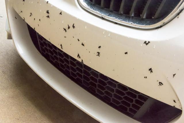 The Best Way to Remove Bugs From Car Paint