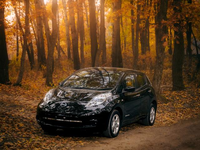 forest-car-autumn-black_t20_6n7d9p.jpg