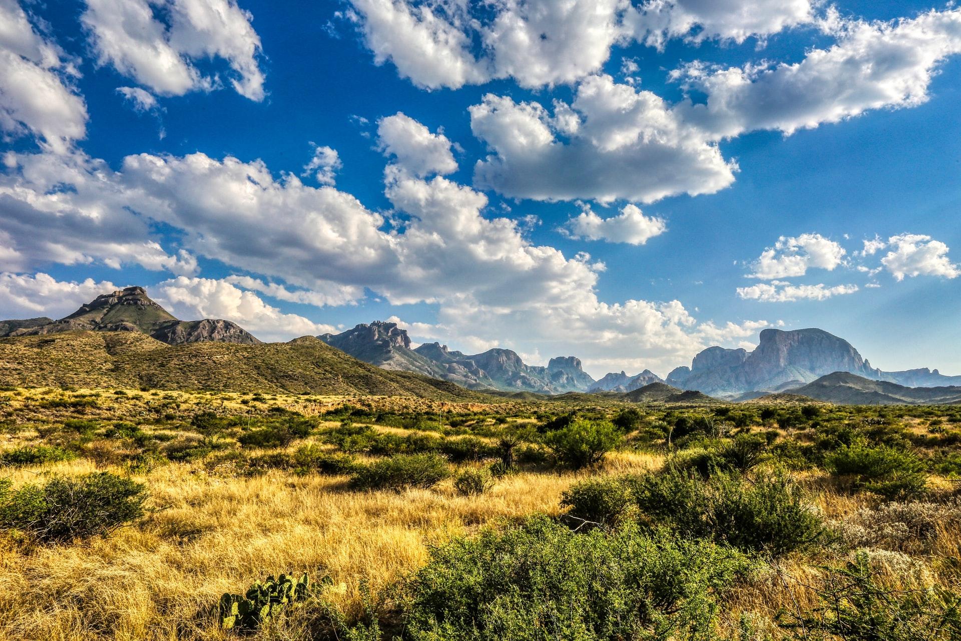 Perfect day in Big Bend National Park