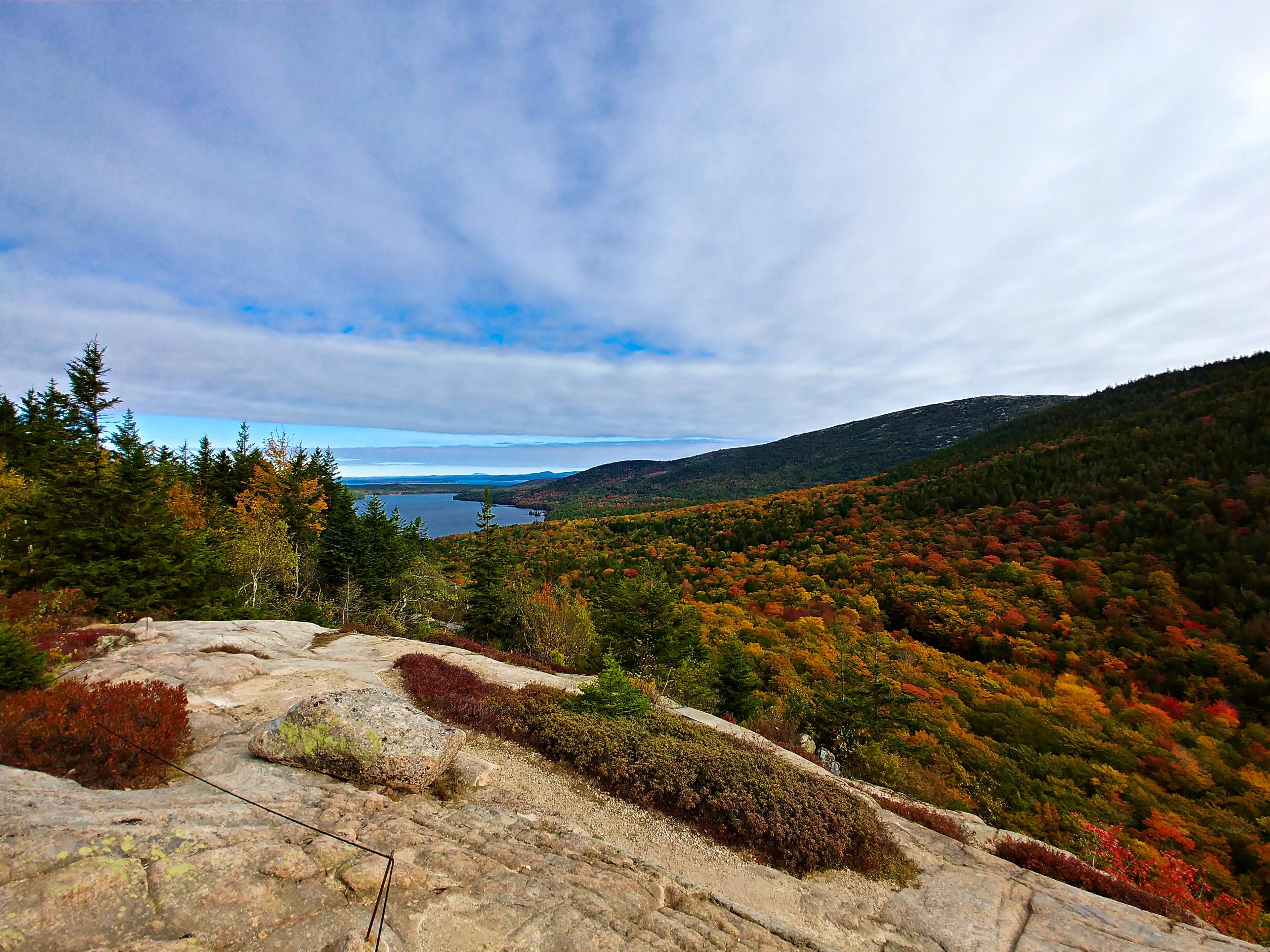 View of the autumnal forests at Acadia National Park.
