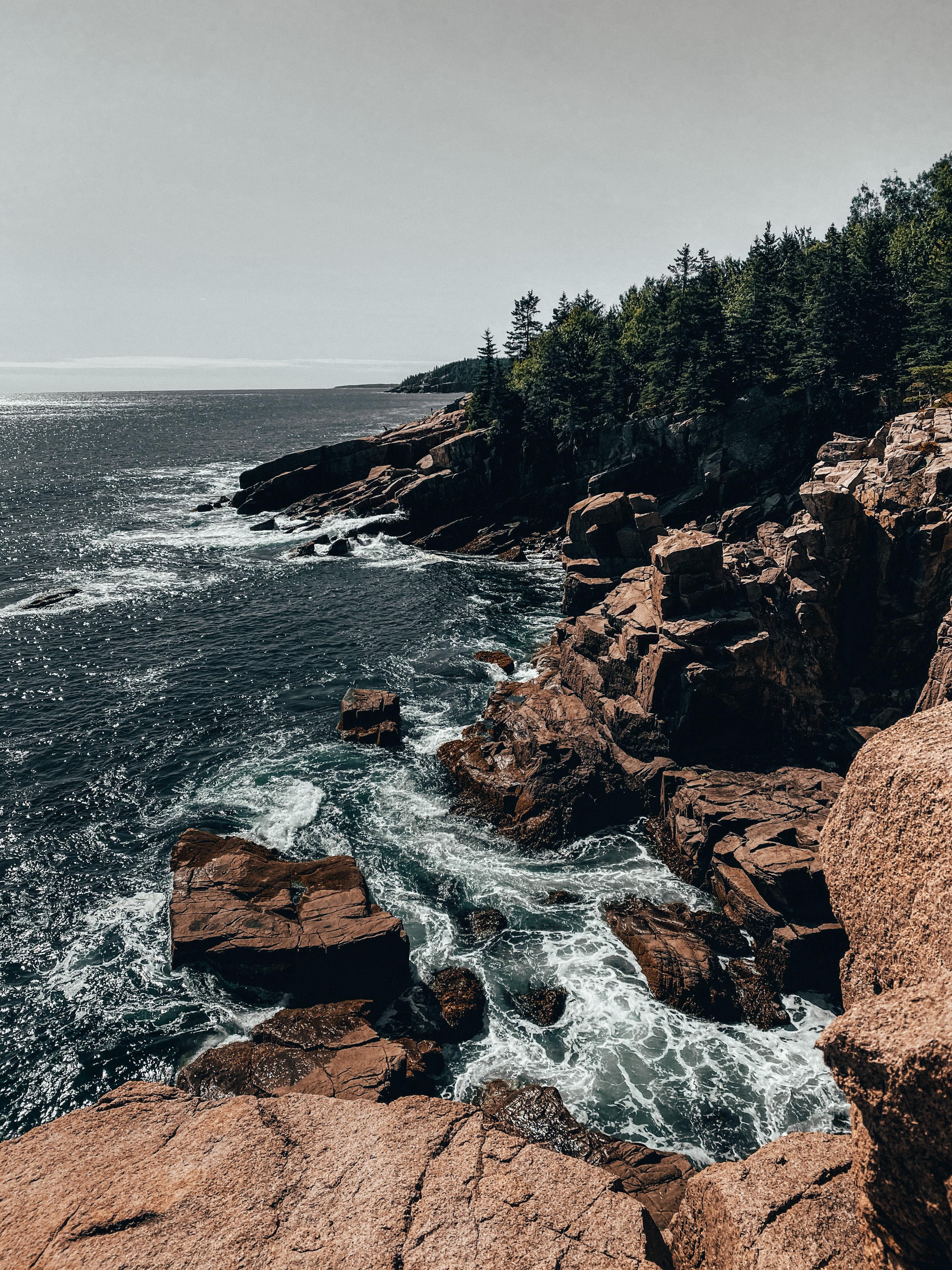 View of the ocean from Acadia National Park.