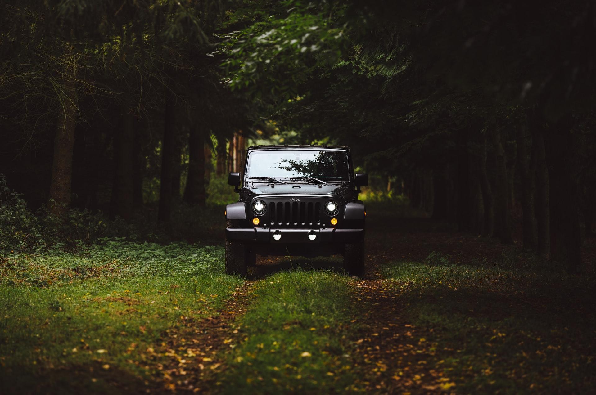 A black Jeep Wrangler emerging from a forrest trail.