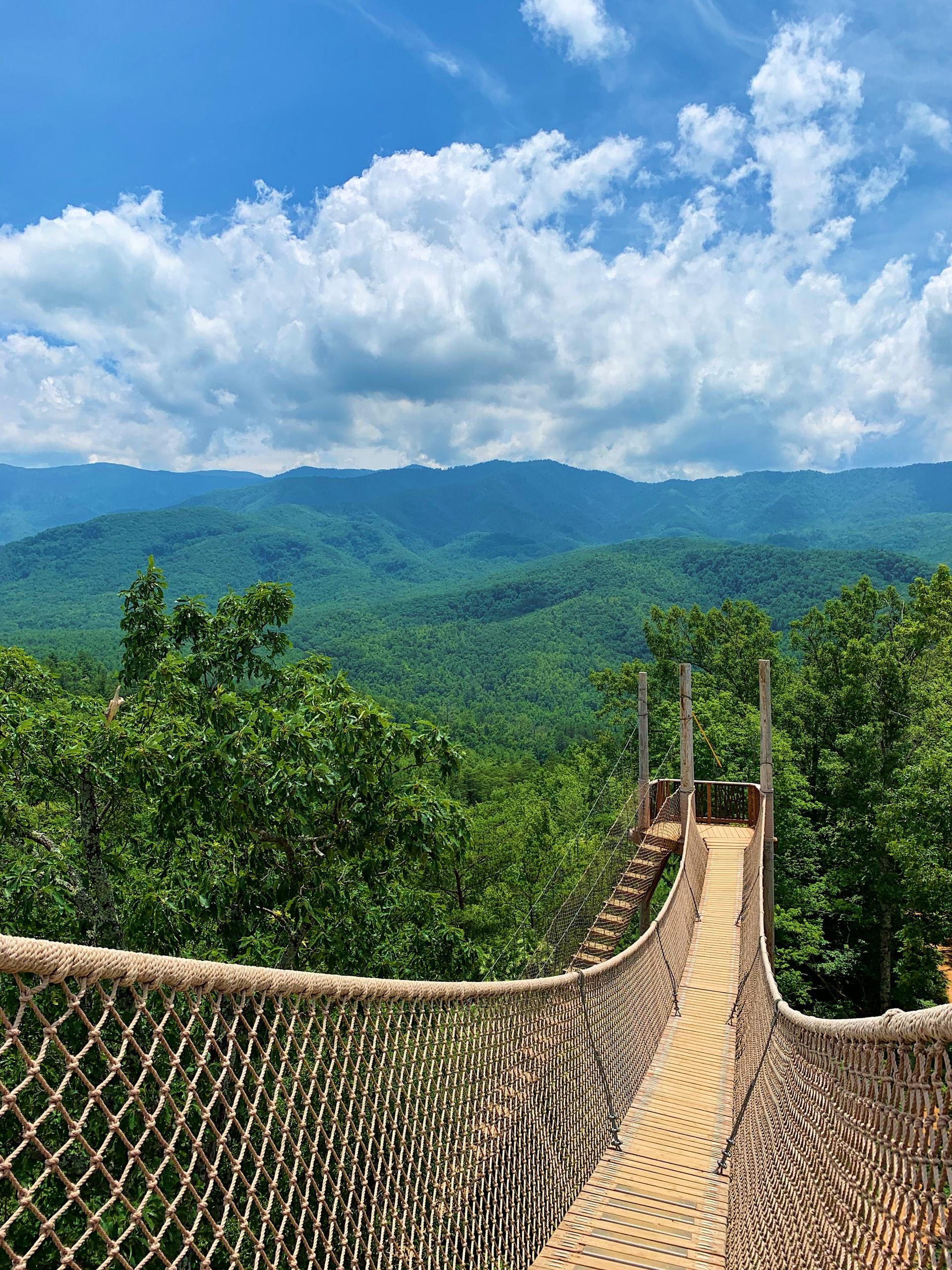 Clear summer day in Great Smoky Mountains National Park