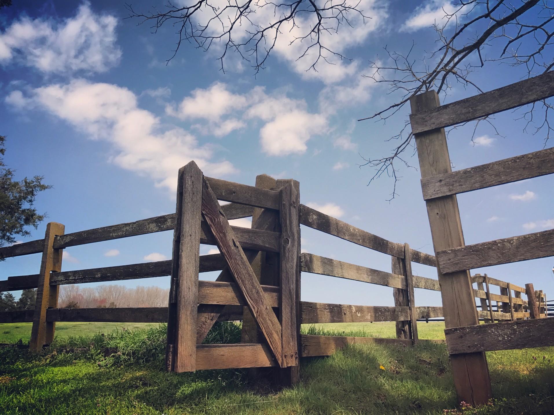 A simple lateral fence and gate against a blue sky