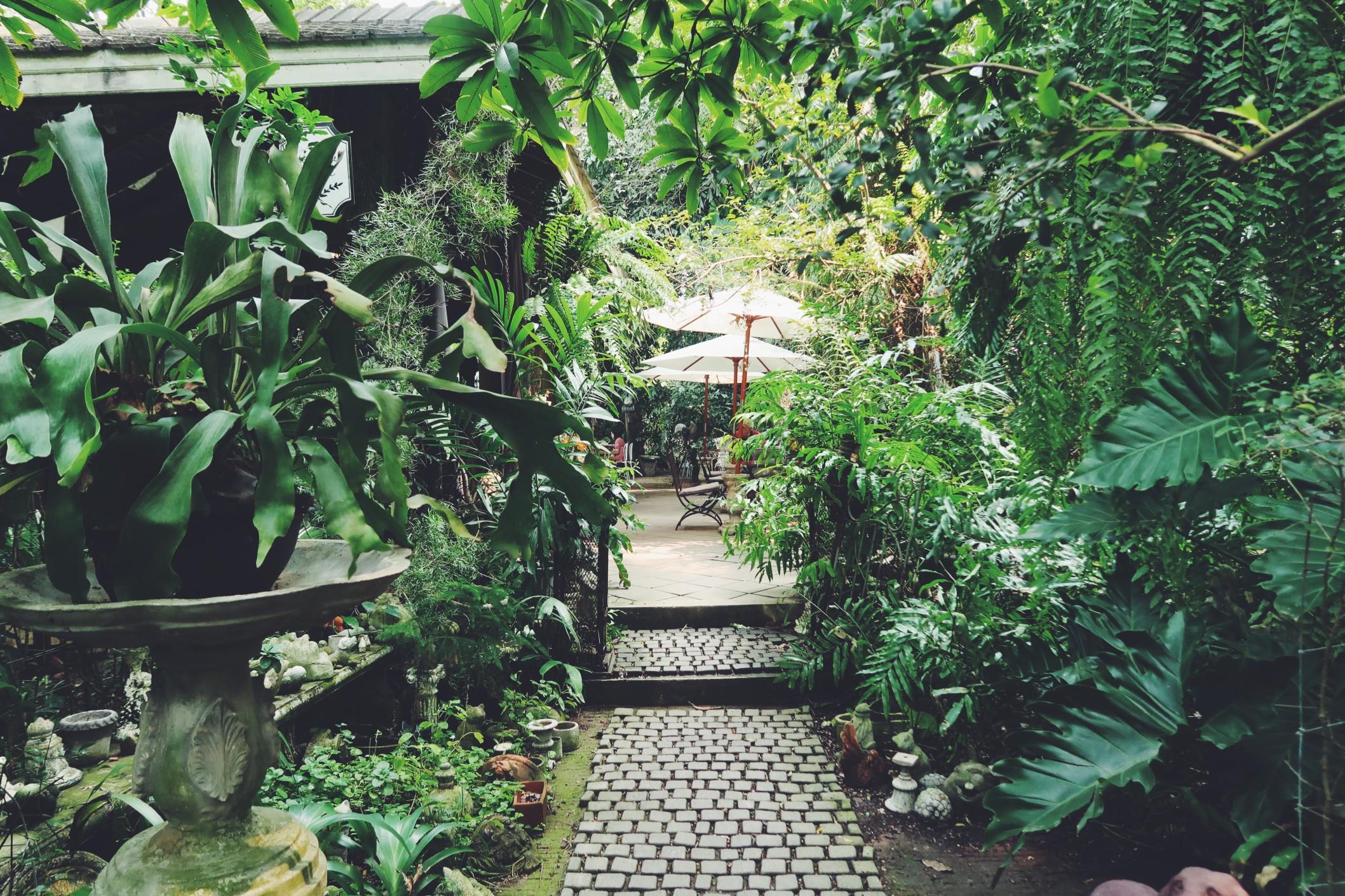 A green secret garden with a stone path