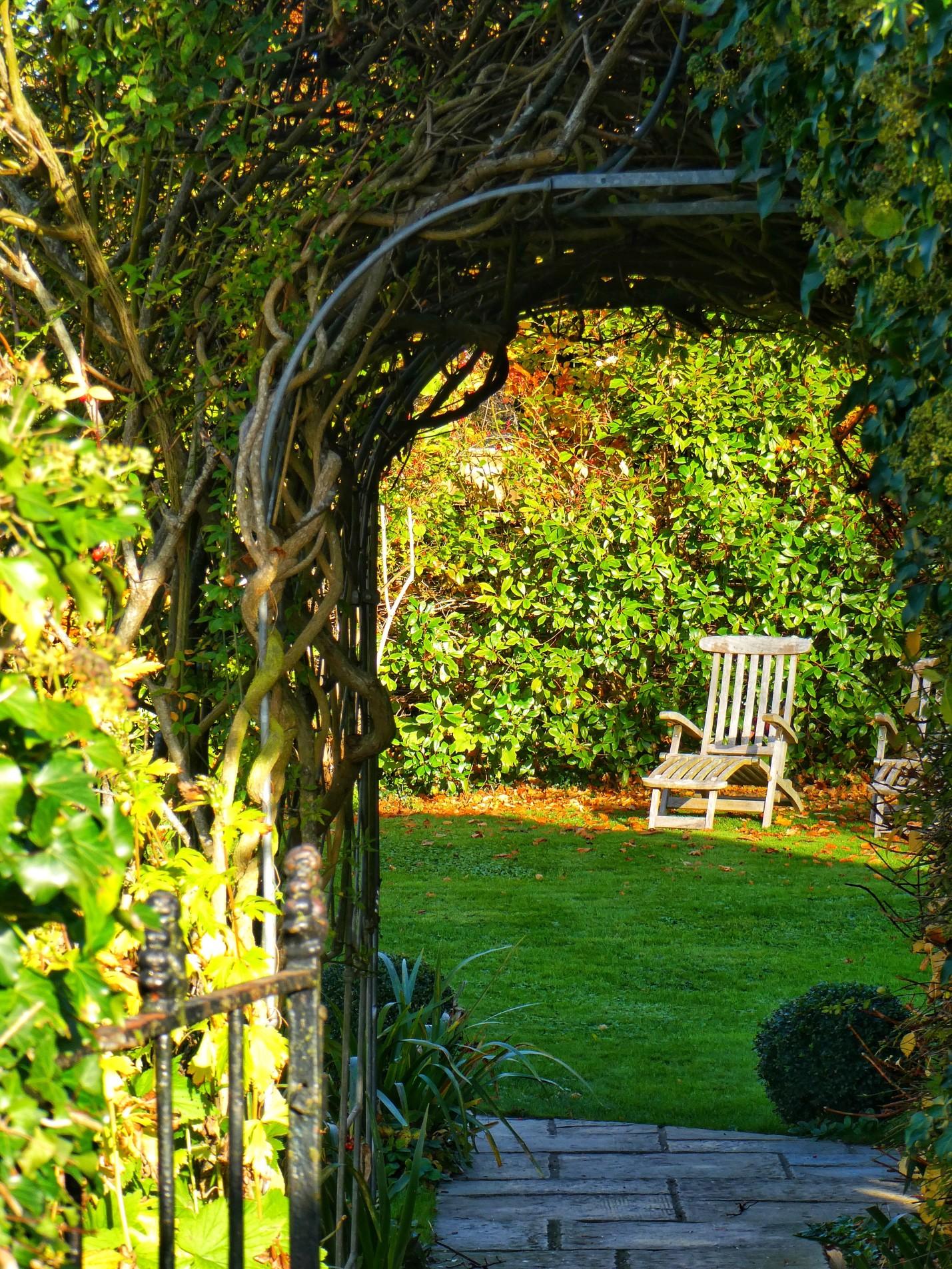 Garden arch full of vines and lush greenery
