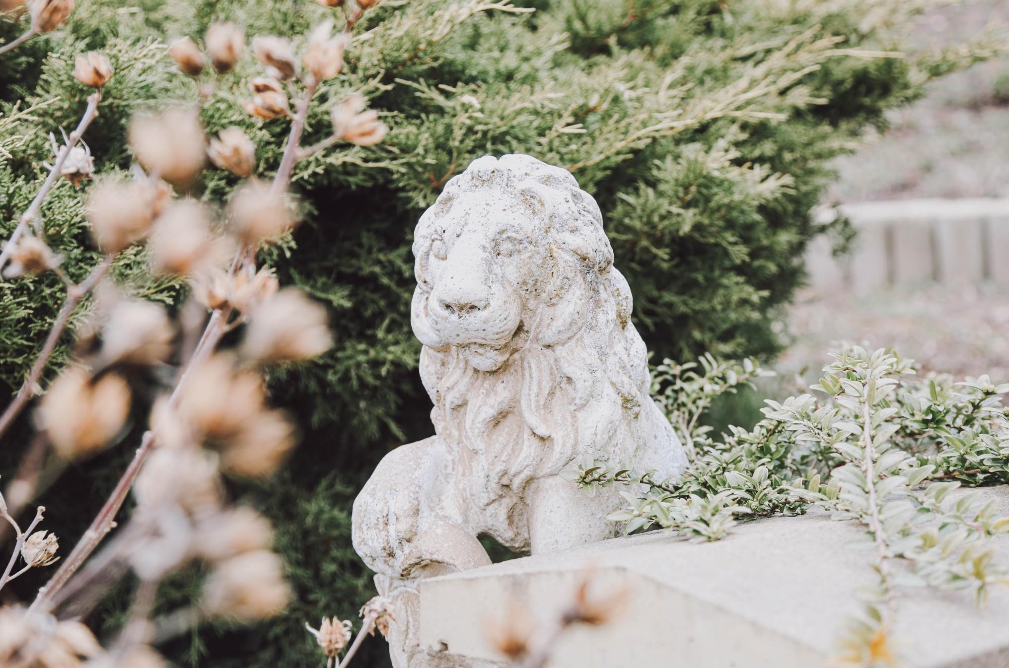 石头狮子花园雕塑叶包围。