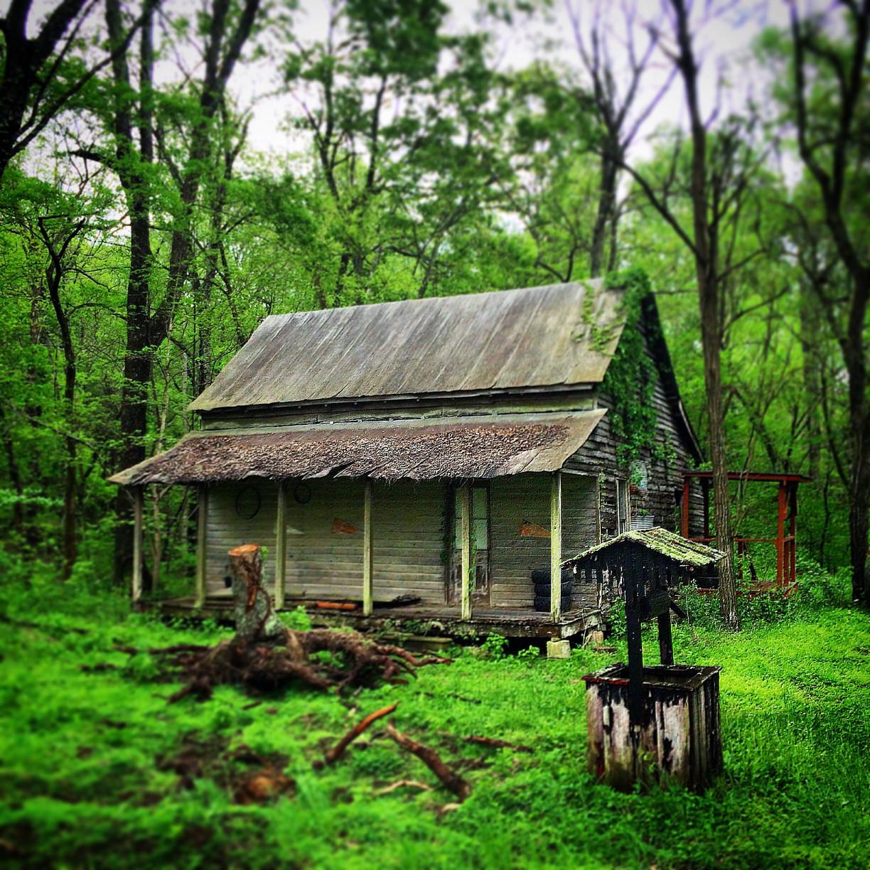 视图的一个古老的小屋在郁郁葱葱的绿色森林右边。