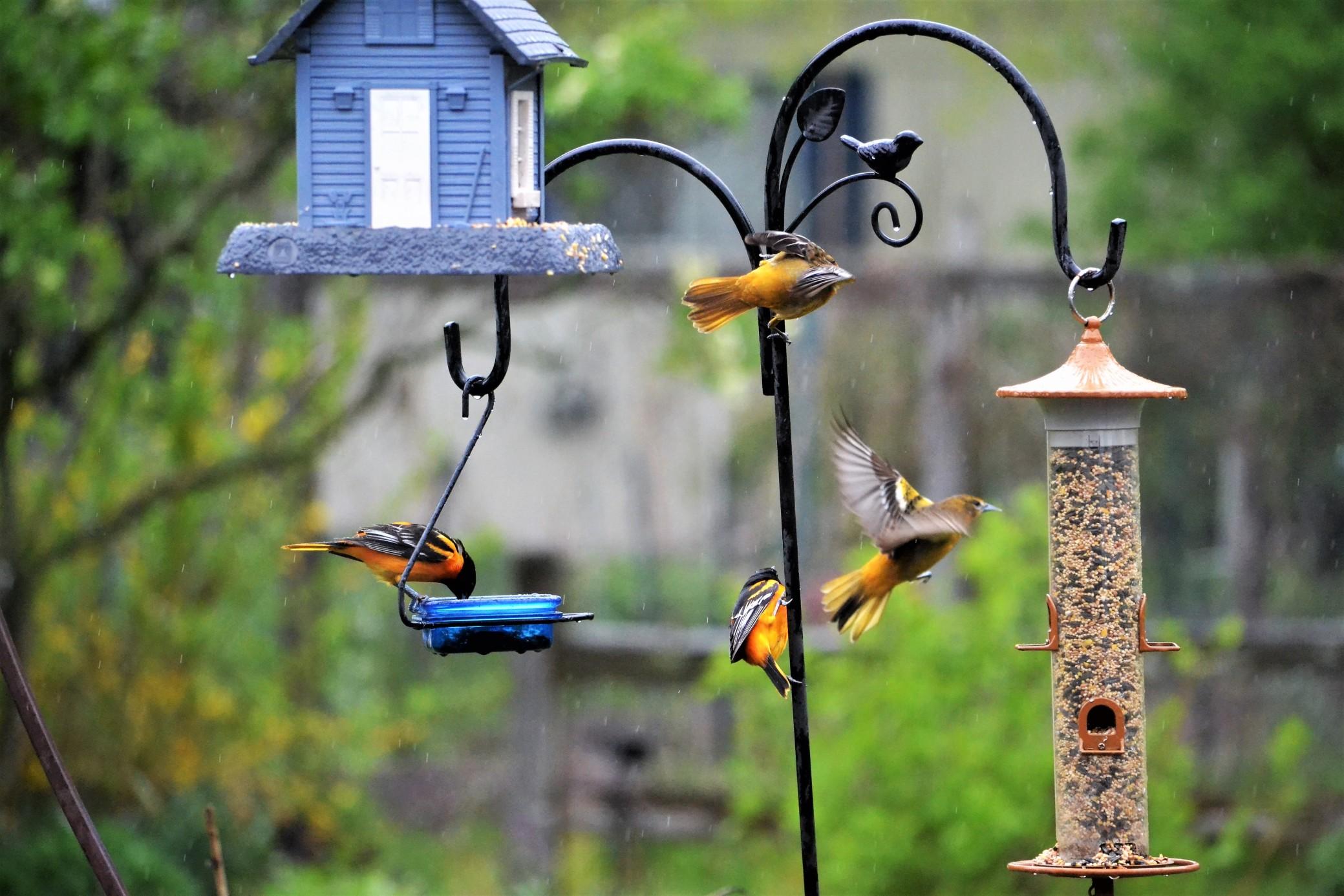 Watch the birds from the comfort of your cozy under-deck space. 