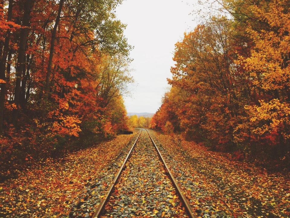 autumn rail road