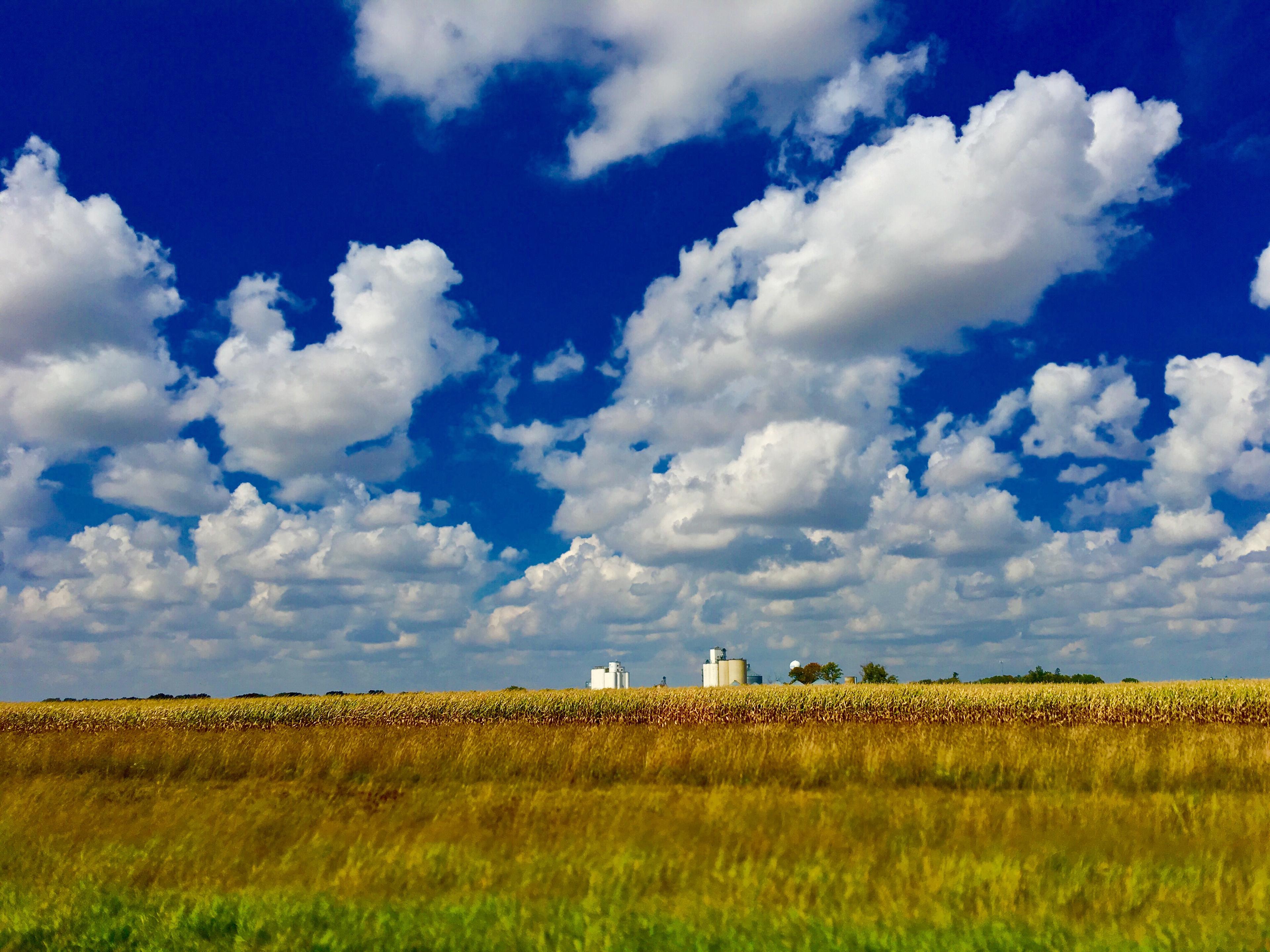 Farmland with blue cloudy skies in Iowa