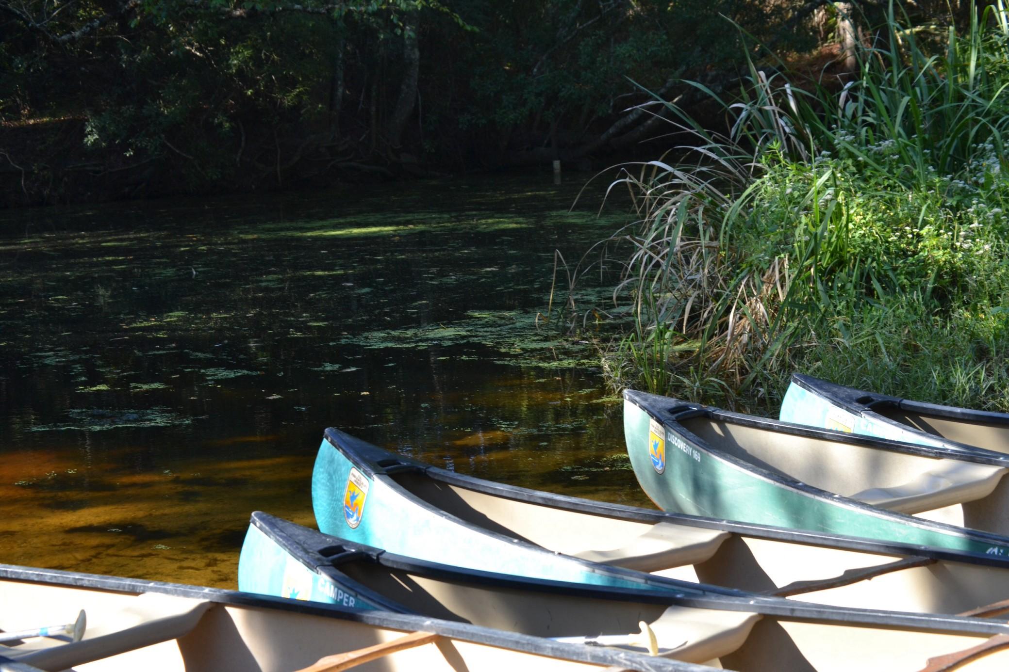 Canoes on the Bayou, Louisiana