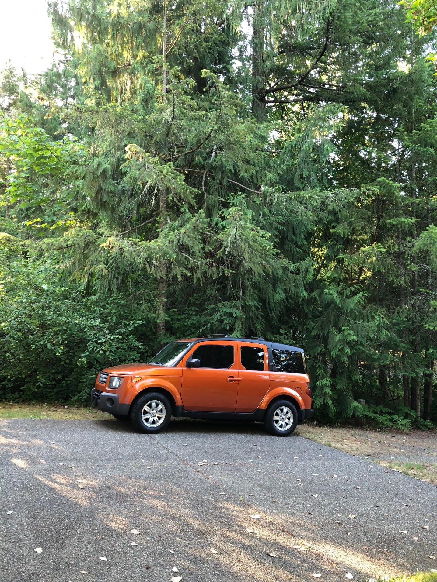 Will the Honda Element be considered a classic one day?