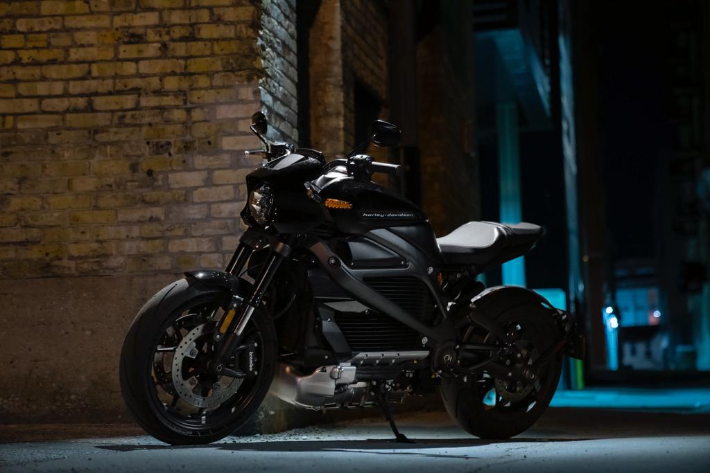 The Harley-Davidson LiveWire is one of the pricier electric motorcycles on the market.