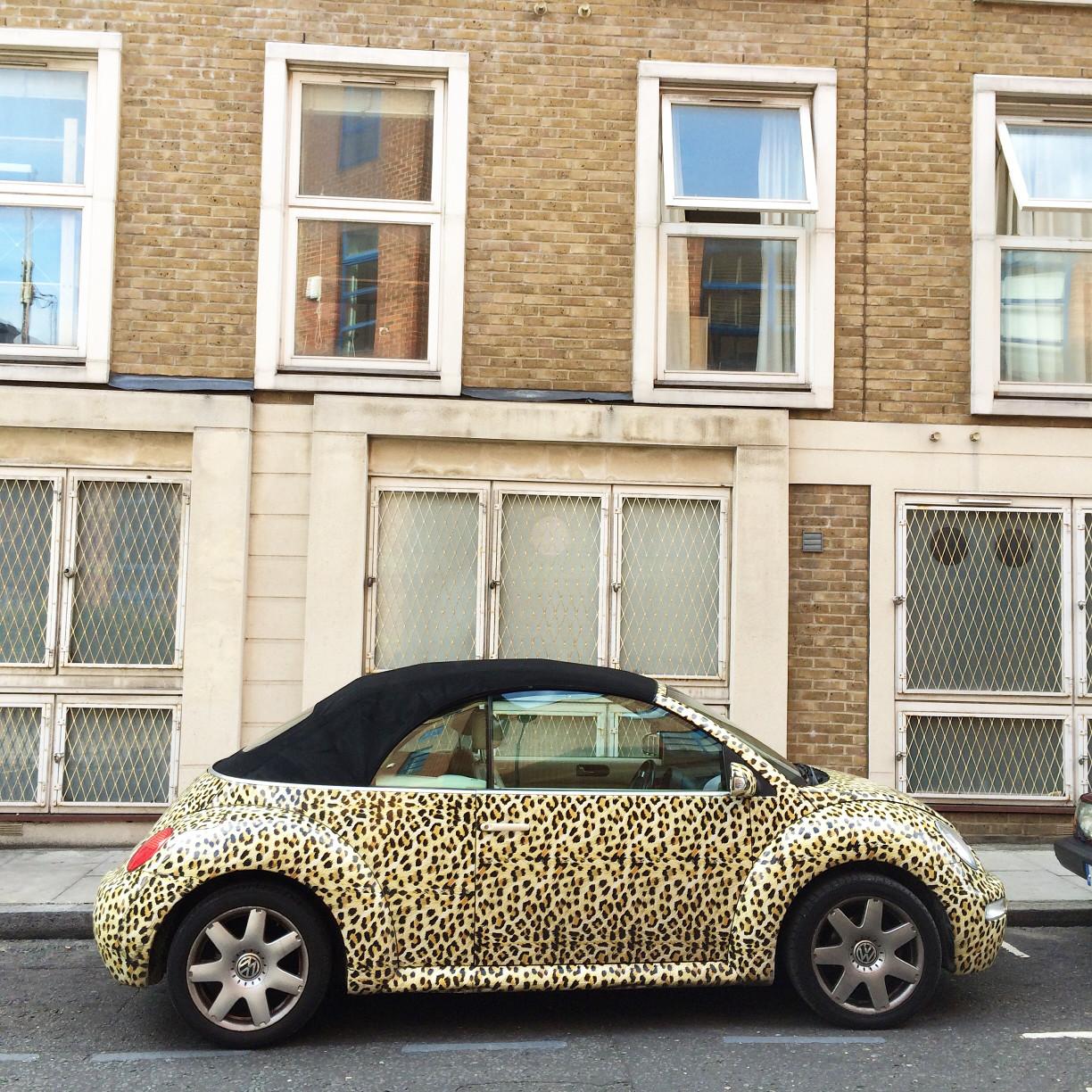 Car wrapping has become much more popular over the past few years.