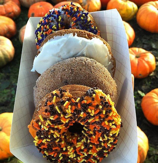 Halloween donuts from an Illinois farm
