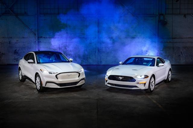 1662523563094_The__Ice_White__Ford_Mustang_models..jpeg