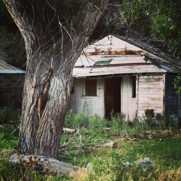 An abandoned house in Utah