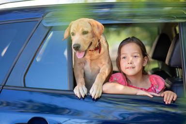 1662523650916_Kids__and_pets__should_never_be_left_alone_in_the_car..jpeg