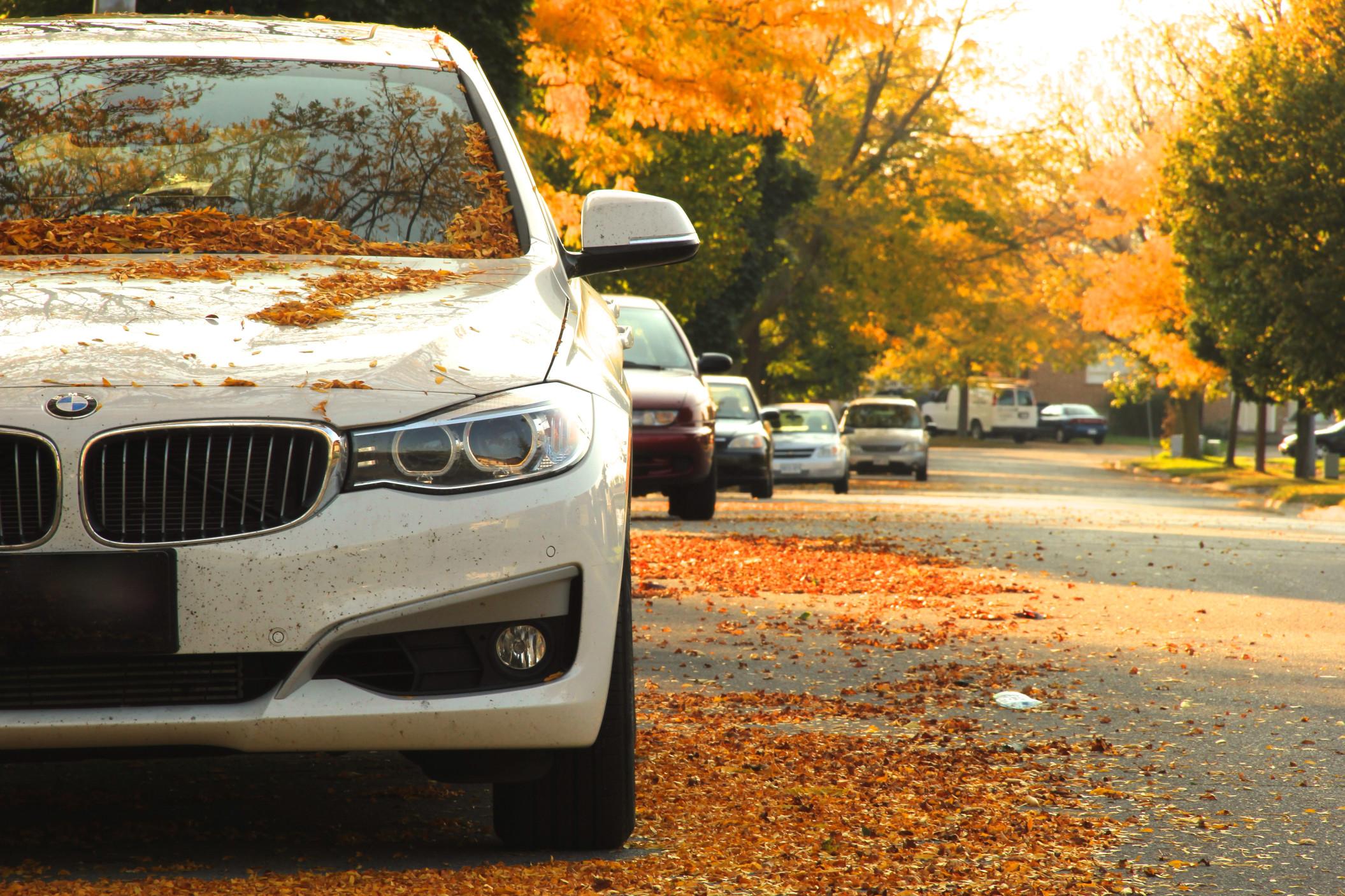 Pumpkin spice car accessories are perfect for fall.