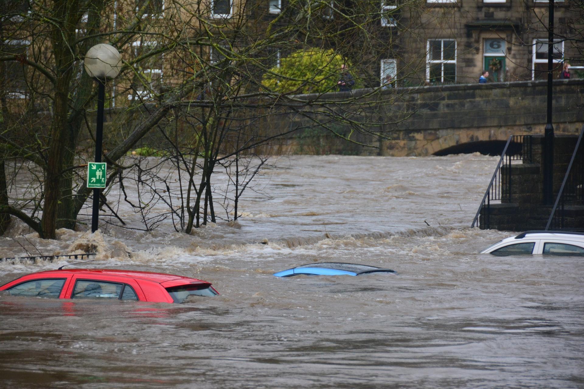 There are key elements to look for to avoid buying flood-damaged vehicles.